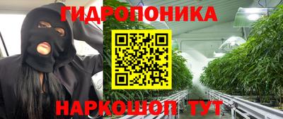 эйфоретик Дубна