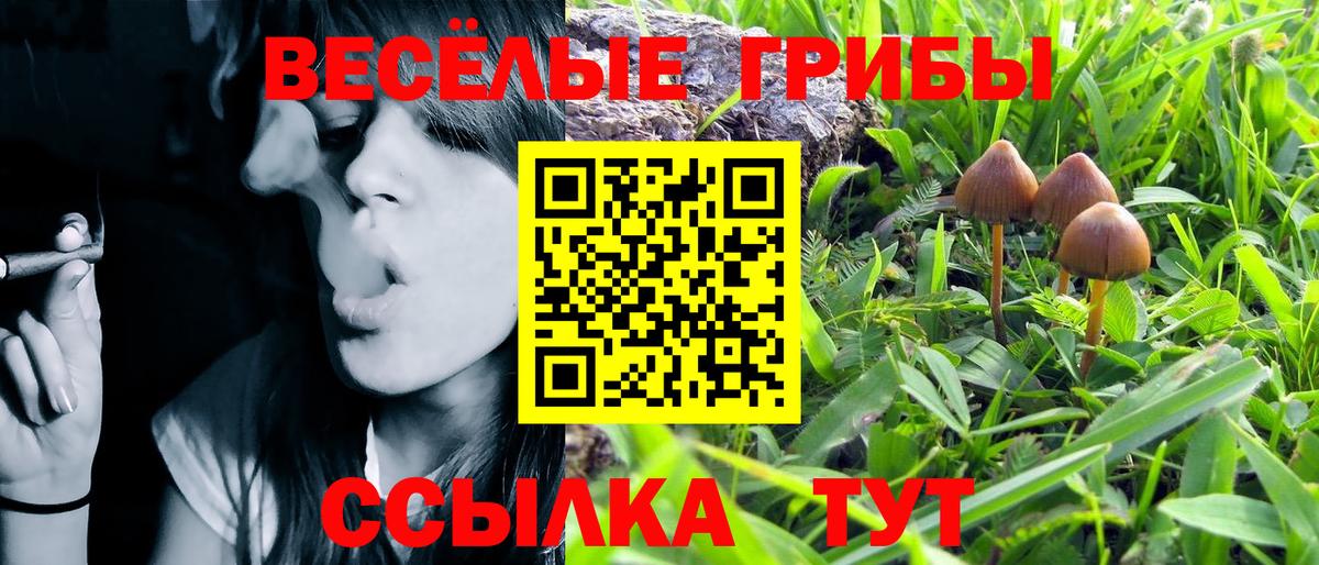 Череповец  Галлюциногенные грибы ЛСД  Вход с VPN 